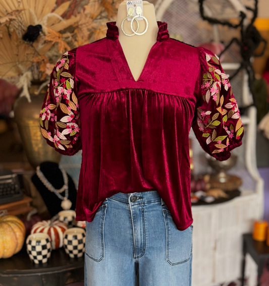 Velvet Embroidered Detail Top