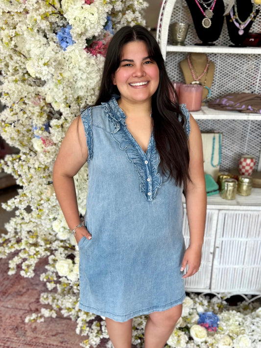 Ruffle Trim Denim Dress